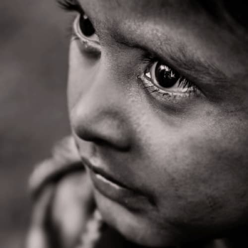 Cover for Abusive Parents