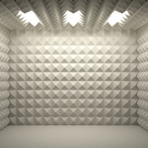 The Echo Room