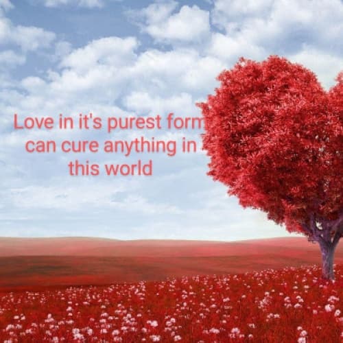 Cover for Love in it's true form can change anything