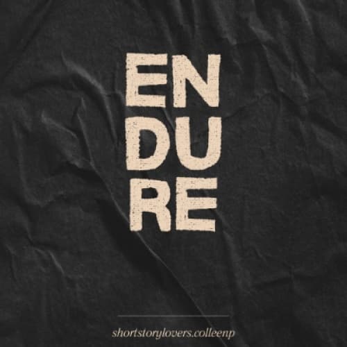 Cover for Endure