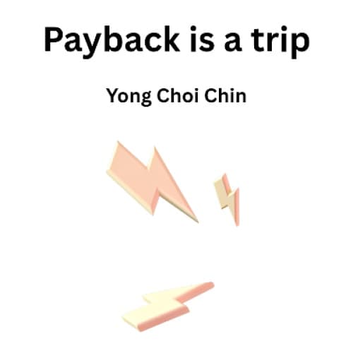 Cover for Payback is a trip