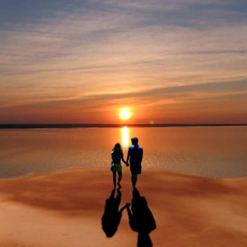 Cover for lost and found