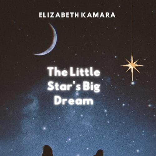 Cover for The Little Star's Big Dream