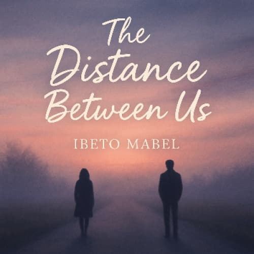 Cover for The Distance Between Us