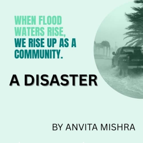 Cover for THE DISASTER