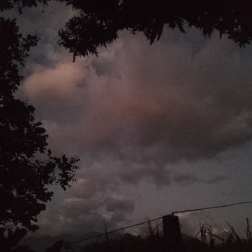 Cover for A night to call