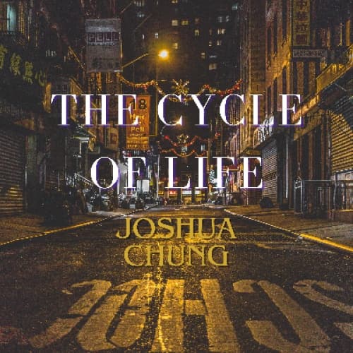 Cover for The Cycle of Life