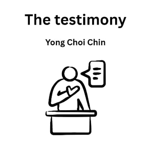 Cover for The testimony