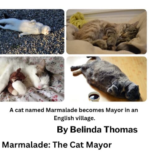Cover for Marmalade: The Cat Mayor