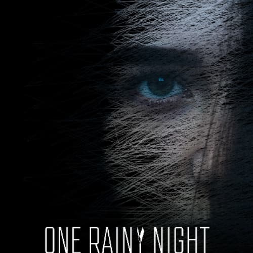 Cover for One Rainy Night