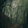 Story Cover Image