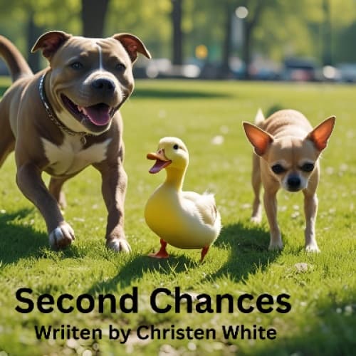 Cover for Second Chances