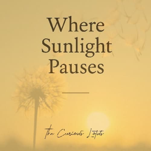 Cover for Where Sunlight Pauses