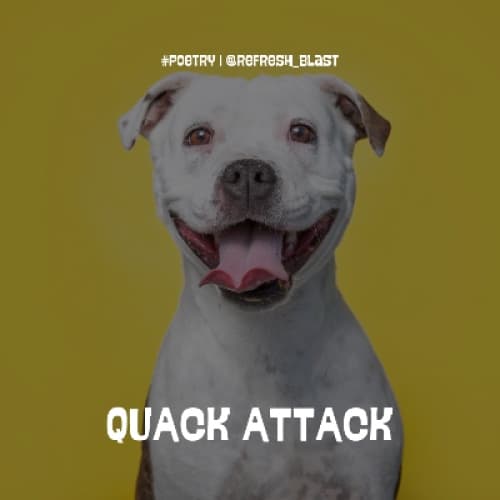 Cover for Quack Attack