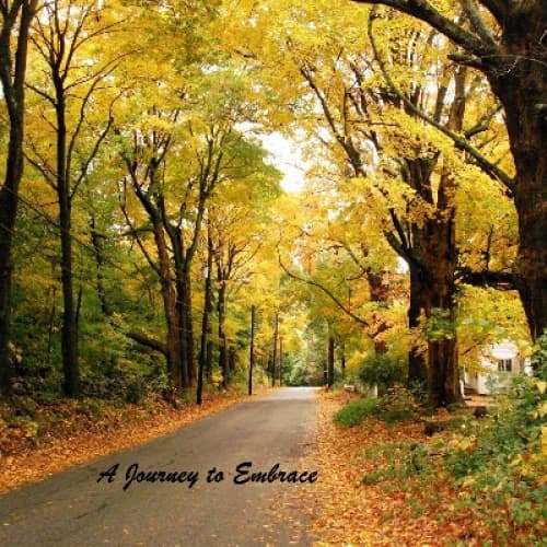 Cover for Esha’s Tale: From Shadows to Sunlight