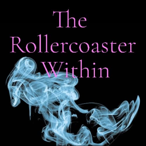 Cover for The Rollercoaster Within
