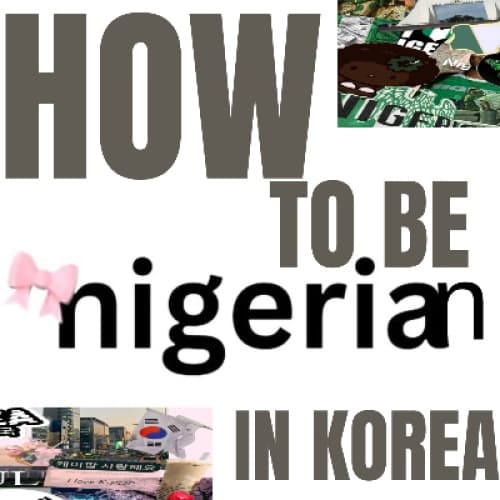 Cover for How to be a Nigerian in Korea