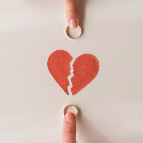Cover for Side-by-Side