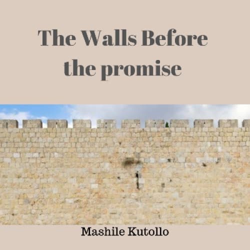 Story Cover Image