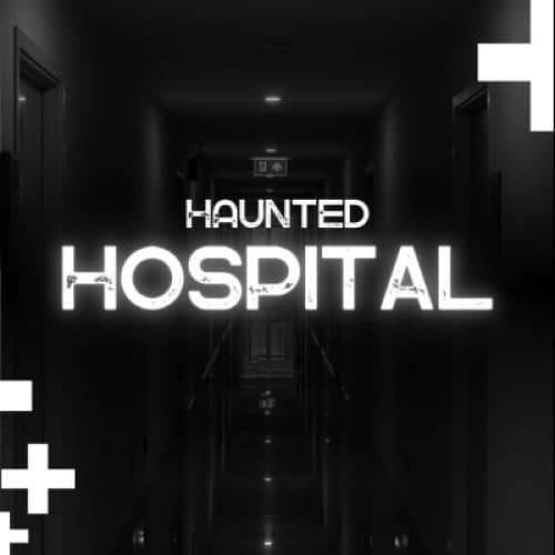 Cover for The Haunted Hospital