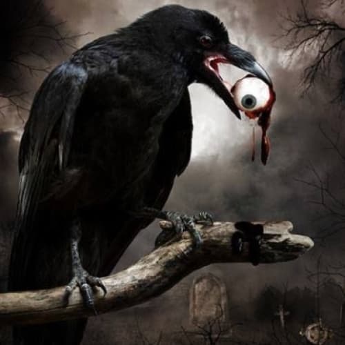 Cover for The Crow's Nest (3)