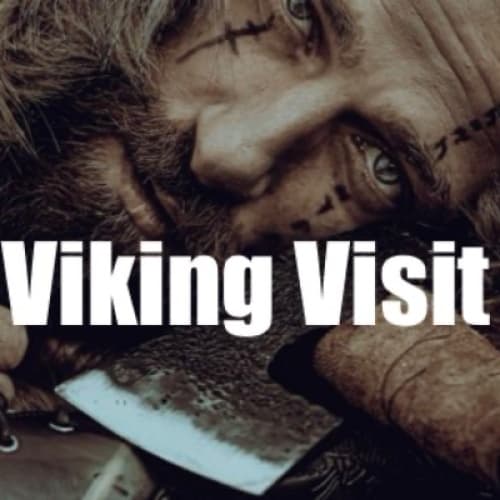 Cover for Viking Visit
