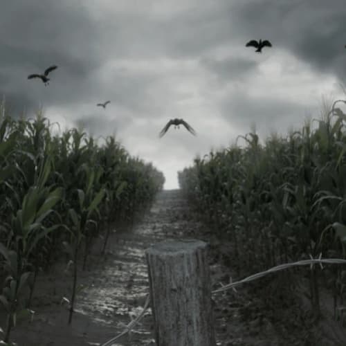 Cover for Playing Tag