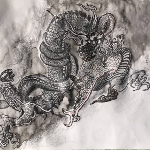 Cover for Dragons of the Everglades