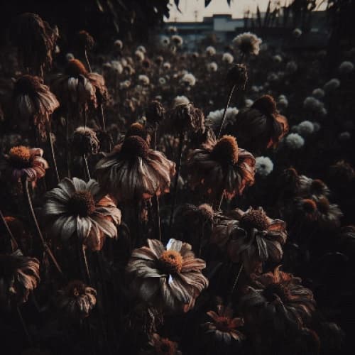 Cover for Withered flowers