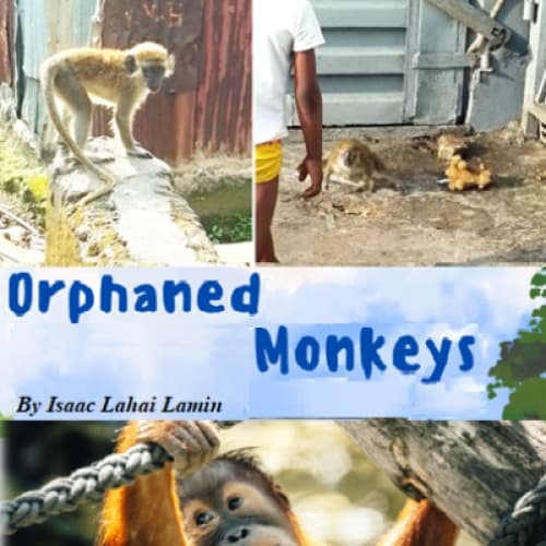 Cover for Orphaned Monkeys