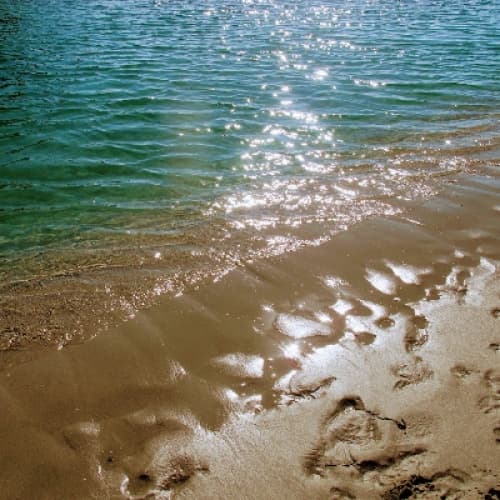 Cover for A SEA FULL OF PLASTIC