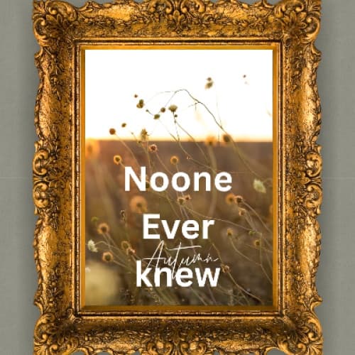 Cover for Noone ever knew
