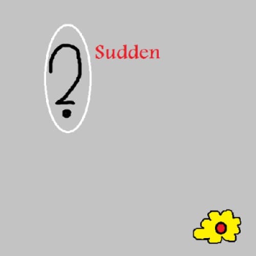 Cover for Sudden