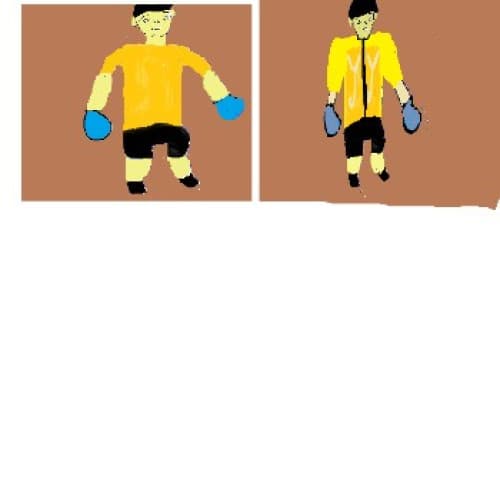 Cover for Boxer -4 (Self Raising)