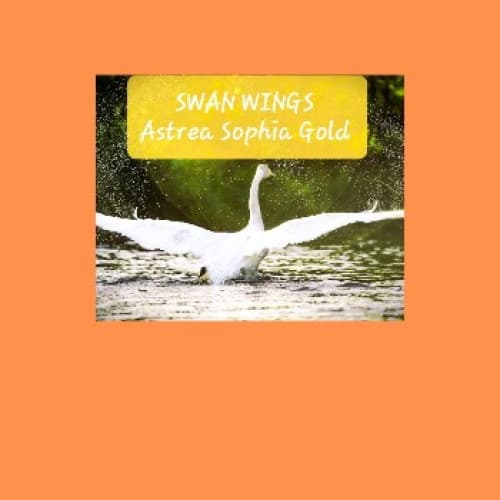 Cover for Swan Wings