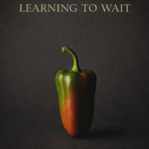 Cover for Learning to Wait