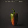 Story Cover Image