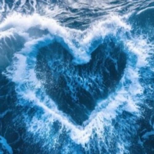 Cover for A salted plea from the ocean's heart