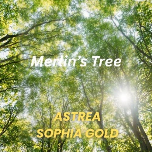 Cover for Merlin's Tree