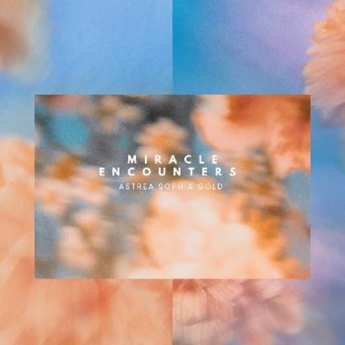 Cover for Miracle Encounters
