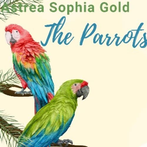Cover for The Parrots