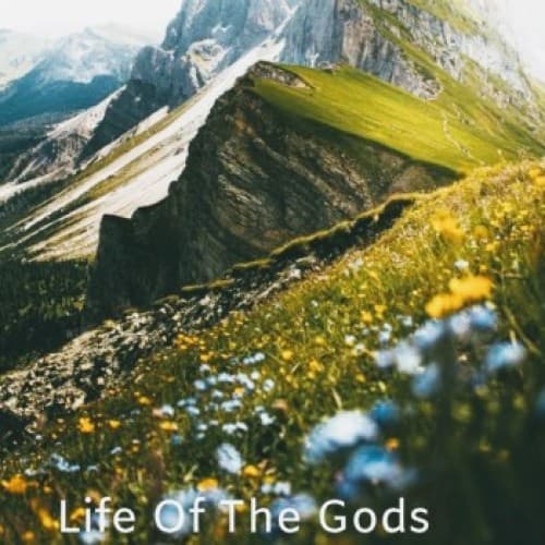 Cover for LIFE OF THE GODS