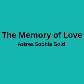 Cover for The Memory of Love