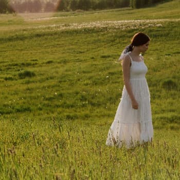 Treasure Trove in a Meadow