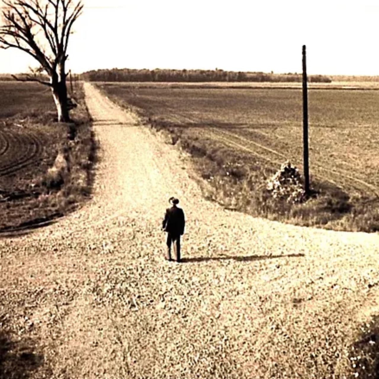 The Road I Cross