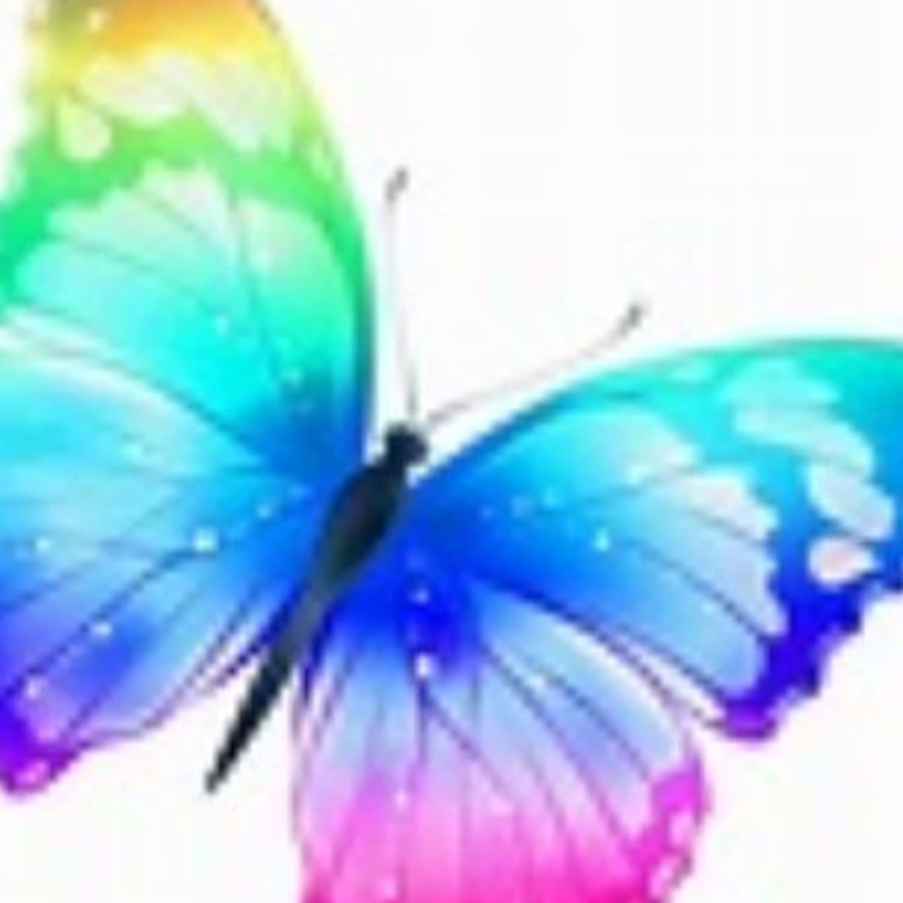 Cover for The Whisper of Wings: Sermons from the Butterfly