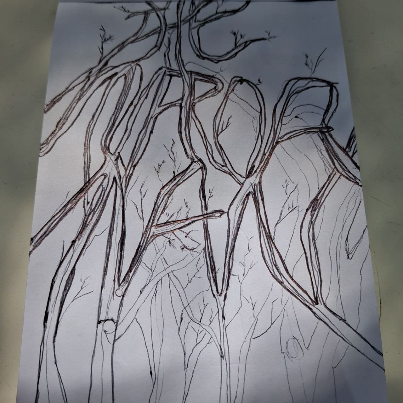 The Mirror Man