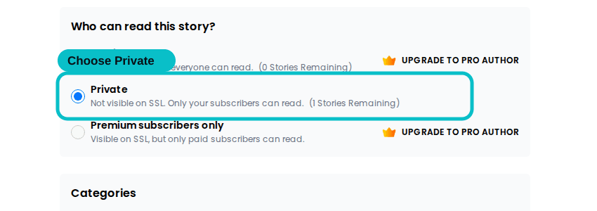Private option selected in Short Story Lovers Story Details