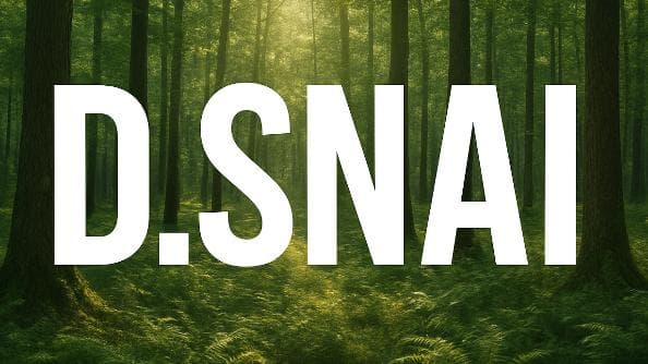 dsnai333