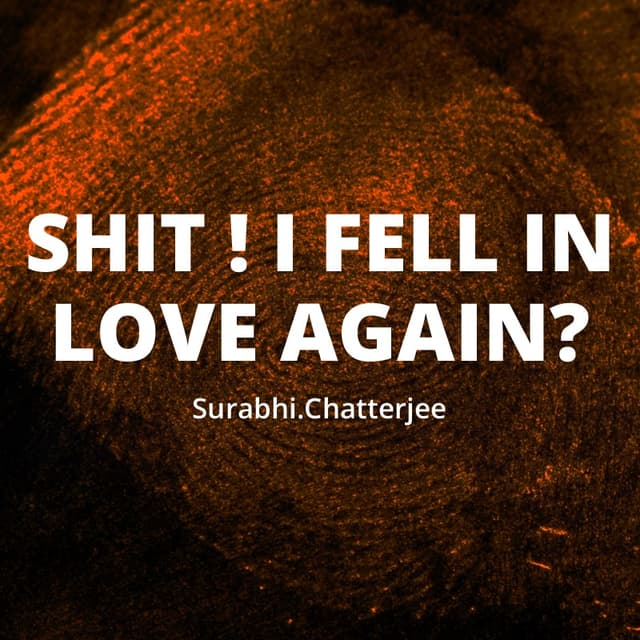 Cover of Shit ! I fell in love again(and again & again..& again)